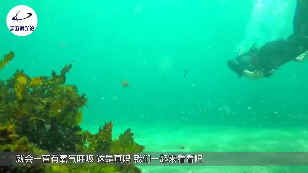 09款福特嘉年华废气阀需要清洗么吗-全球领先的问答类网站